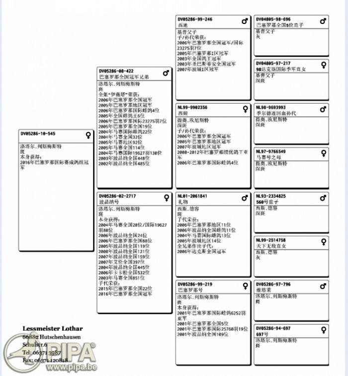 DV05286-10-545血統書a.jpg